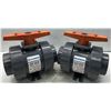 Image 1 : (2) Hayward 4" True Union Ball Valves