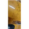 Image 3 : Vintage Epiphone guitar autographed by Steve Earle and other artists