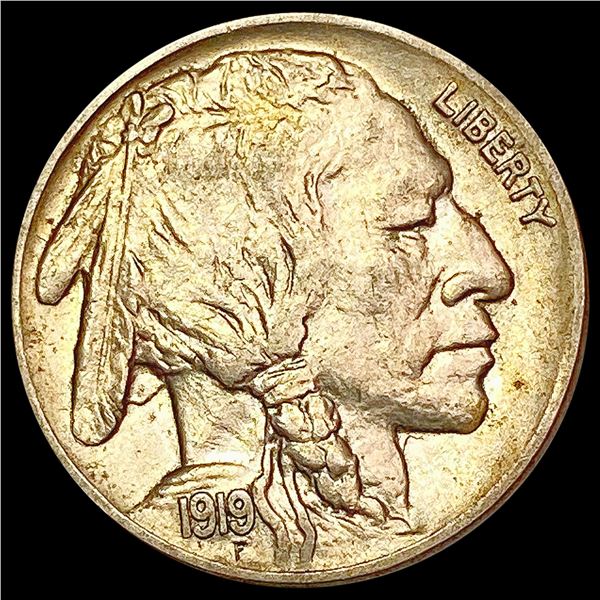 1919 Buffalo Nickel CHOICE BU