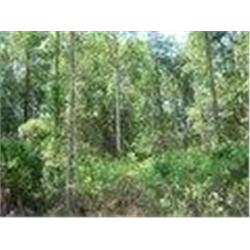 120 Helen Ave. Georgetown