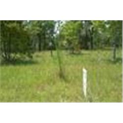 1307 Main St - 4 lots, Interlachen