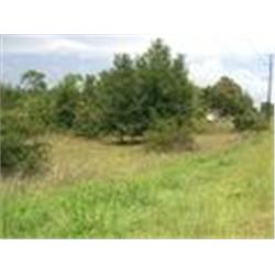 3 COMMERCIAL LOTS IN INTERLACHEN
