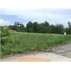 Image 3 : 3 COMMERCIAL LOTS IN INTERLACHEN