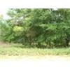 Image 4 : 3 COMMERCIAL LOTS IN INTERLACHEN