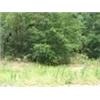 Image 1 : 7 LOTS IN INTERLACHEN