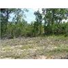 Image 4 : 7 LOTS IN INTERLACHEN