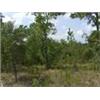 Image 7 : 7 LOTS IN INTERLACHEN