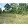 Image 1 : 6 INTERLACHEN LOTS