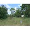 Image 2 : 25 INTERLACHEN LOTS