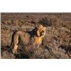 Image 1 : SOUTH AFRICA PLAINS GAME HUNT