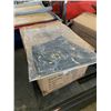 Image 1 : BOX OF NEW TRILLIONAIRE JEAN SHORTS SIZE 26-32