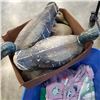 Image 2 : TOTE OF DUCK DECOYS, ABBY CANUCKS SCARFS AND PAJAMAS