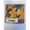 Image 1 : 2013 ROYAL CANADIAN MINT COIN SET WIHT SPECIAL 25 CENT COIN - ONLY FOUND IN THIS SET