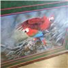 Image 2 : LIMITED EDITION PARROT PRINT