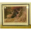 Image 1 : Deer Picture