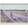 Image 2 : Framed "A harvest of bottles" print, by Yvette Moore - 18.5"x14"H