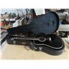 Image 1 : acoustic guitar with case