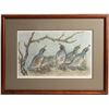 Image 1 : Quail Print Ltd. Ed. Signed - Framed [184073]