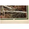 Image 2 : Frederick Rod: Winters Call 1986 - Framed [184068]