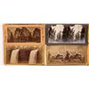 Image 2 : Yosemite Park Stereoviews (21) [185817]