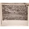 Image 2 : Spring Valley Photos (3) [178099]