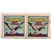 Image 1 : Federal Hi-Power Shot Shells 12 gauge (2) [181538]