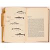 Image 10 : Hunting Dog Books 1904 & 1968  (2) [181612]