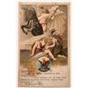Image 1 : Budweiser Trade Card Rare [185898]