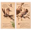 Image 1 : Buckeye Lawn Mower Trade Card Pair [186879]