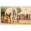 Image 1 : Trade Card - Barnum Fairbanks RARE 1880s [186844]
