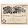 Image 1 : Black Wonder & West End Gold Mining Stock 1895 [187866]