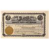Image 1 : Cons. Virginia & Andes Stock [187547]