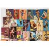 Image 2 : Arcade Female Glamour & Risque Art Cards (41) [185518]
