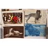 Image 2 : Dog Postcard Collection 250 [185907]