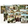 Image 2 : Florida Postcards (25) [187016]