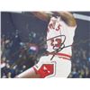 Image 2 : Michael Jordan Autographed Photo w/COA