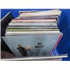 Image 3 : Sam Hamhine ? Bin w/Vinyl Records