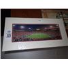 Image 1 : Alabama Stadium Photo
