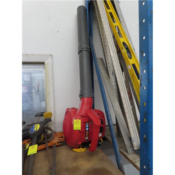 Homelite Gas Blower