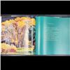 Image 8 : Robert Daughters: After The Formative Years, Pen Signed Art Book