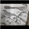 Image 3 : Lot Of 4 Very Old Antique French Etchings & Colored Prints Of Birds