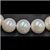 Image 10 : A Fine 11-12MM Akoya Pearl Necklace With 18K Gold Clasp And Original Box / Case, 40 Pearls Total