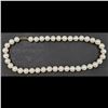 Image 3 : A Fine 11-12MM Akoya Pearl Necklace With 18K Gold Clasp And Original Box / Case, 40 Pearls Total