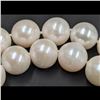 Image 9 : A Fine 11-12MM Akoya Pearl Necklace With 18K Gold Clasp And Original Box / Case, 40 Pearls Total