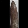 Image 6 : A 19th Century Tibetan Ceremonial Ritual Dagger