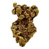 Image 2 : 2.38 Gram Sinaloa, Mexico Gold Nugget