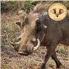 Image 8 : 7-NIGHT ALL-INCLUSIVE AFRICA PLAINS GAME HUNT FOR 6 HUNTERS