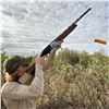 Image 2 : 3-DAY/3-NIGHT DOVE HUNT IN ARGENTINA FOR 4 HUNTERS AND 4 NON-HUNTERS