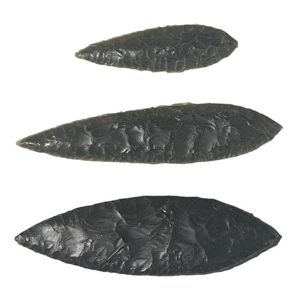 Alpha (2018) - Set of 3 Spear Tips