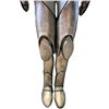 Image 10 : Andromeda (2000 - 2005) - General Utility Android Costume
